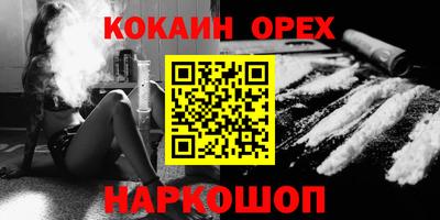 гашик Кулебаки