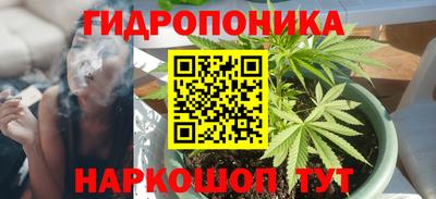 гашик Кулебаки