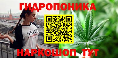 сатива Кунгур
