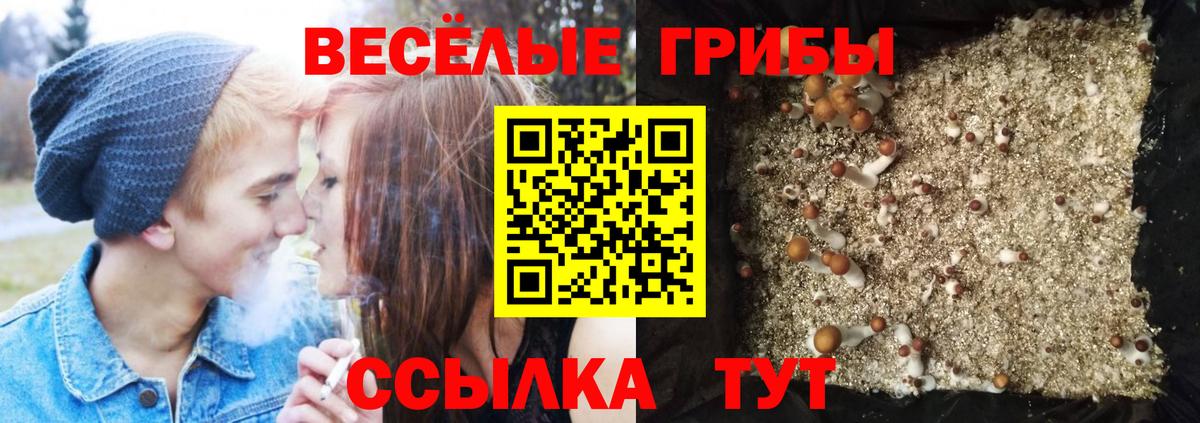 Галлюциногенные грибы мухоморы Качканар