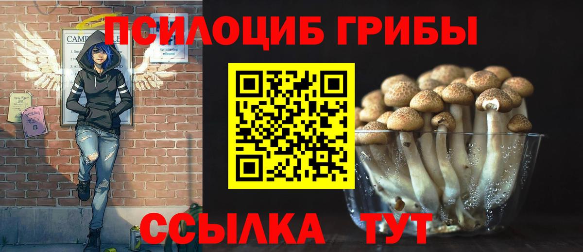 Галлюциногенные грибы мухоморы  Вход с VPN  Качканар 